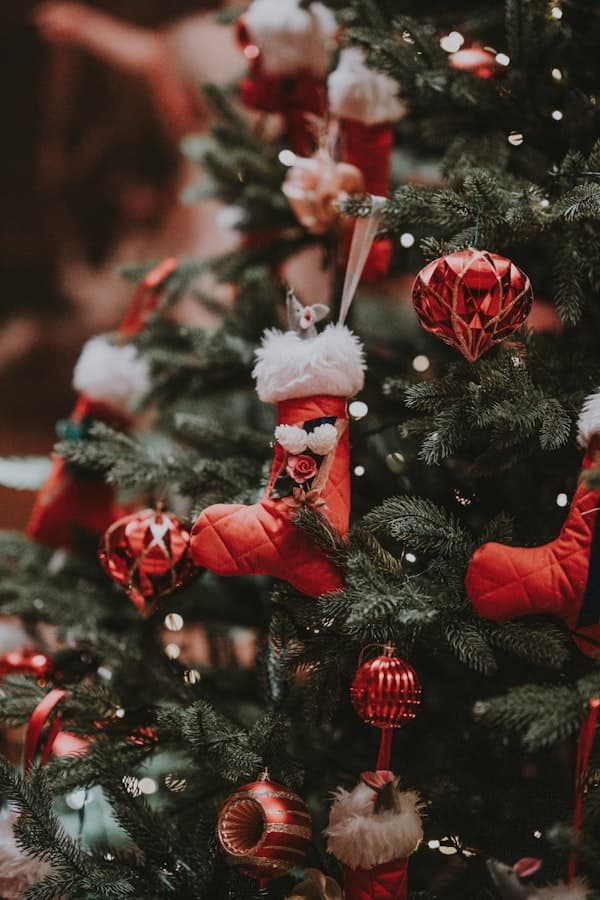 Christmas Wreath - Traditional - View 1